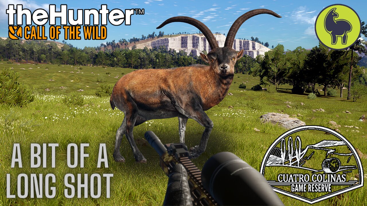 A Bit of a Long Shot, Cuatro Colinas | theHunter: Call of the Wild (PS5 4K)