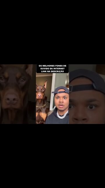 pegadinha com o cachorro