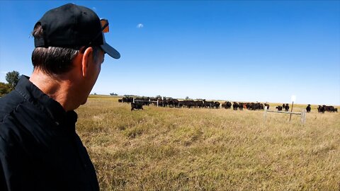 He's A Rancher Now! And They Are Out!