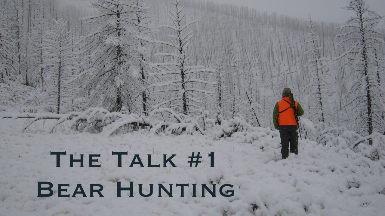 Montana Bear Hunting for Beginners || The Talk #1