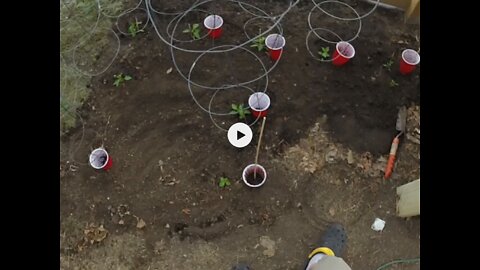 Food Shortage Watering Hack