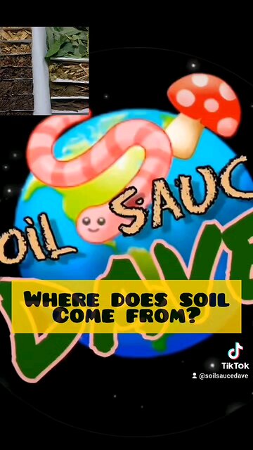 How is Soil Made? I Found This Mushroom in My Garden 🍄