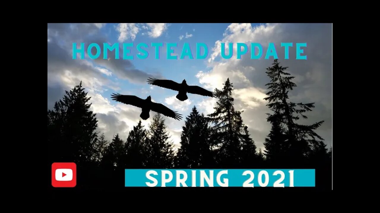 Spring 2021 Homestead update