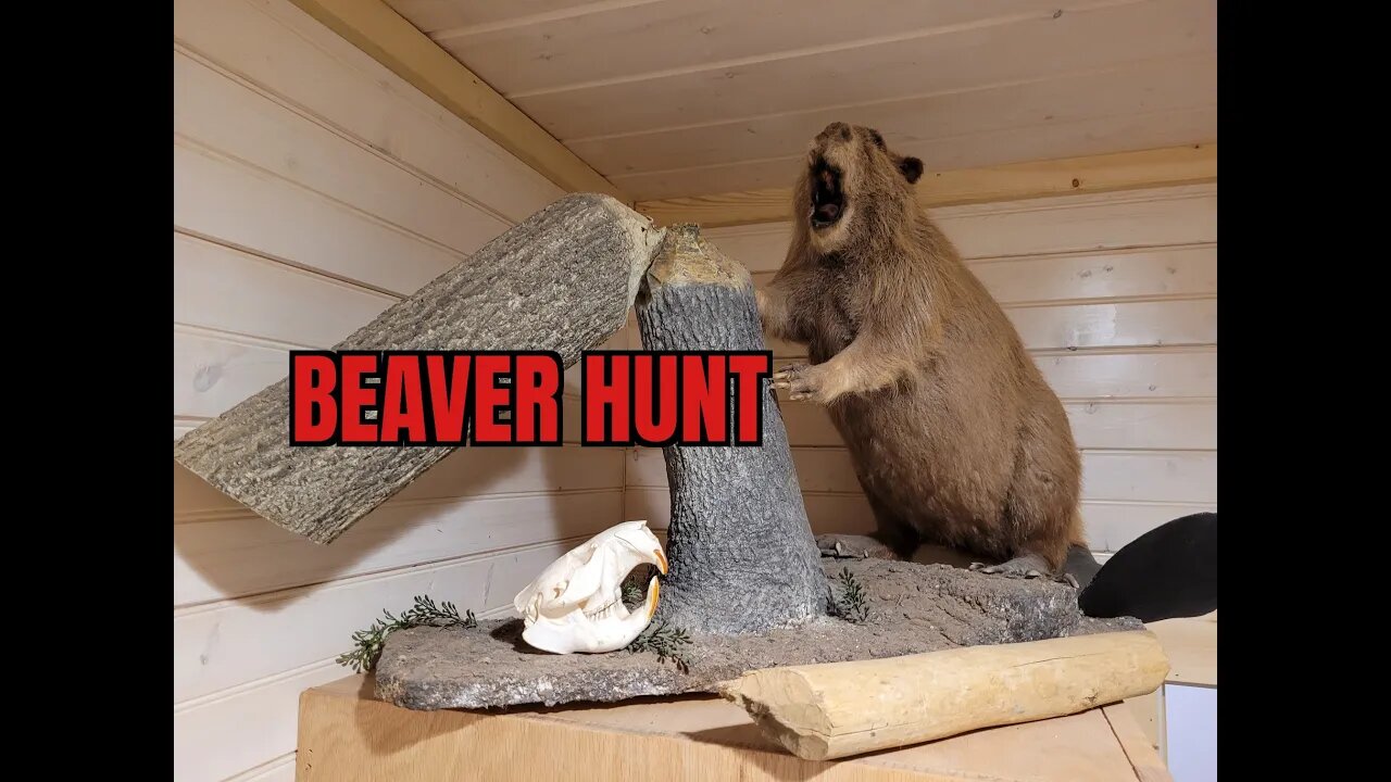 South East Texas Beaver Hunt !!!!!!!