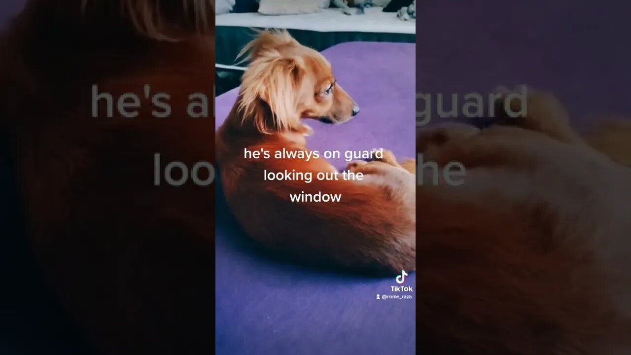 never let your guard down