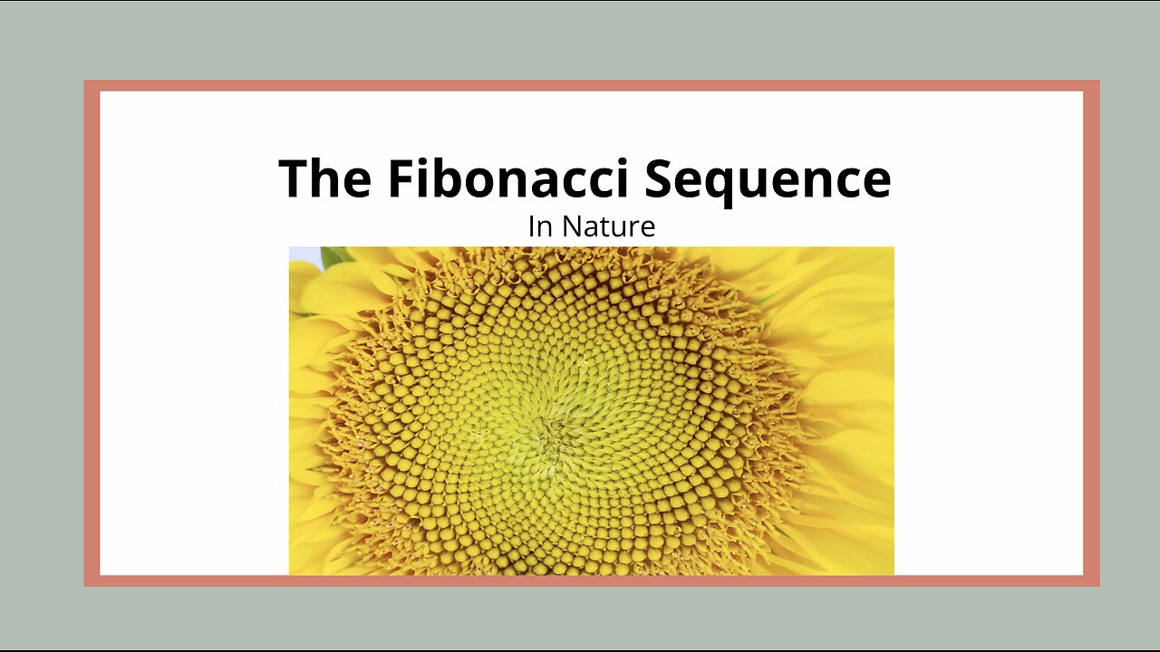 The Fibonacci Sequence in Nature