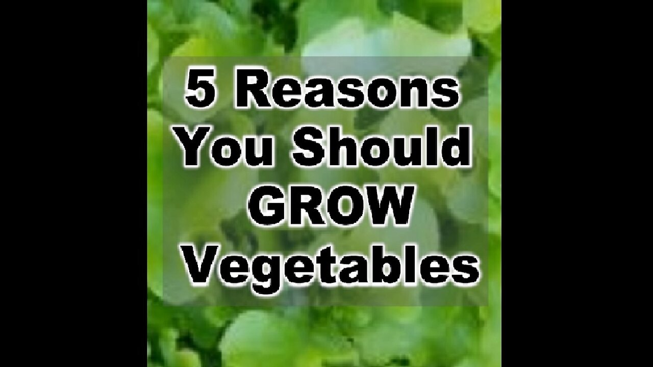 5 Reasons You Should Grow Vegetables