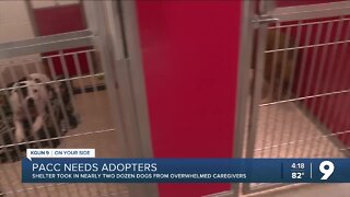 Pima Animal Care Center needs adopters