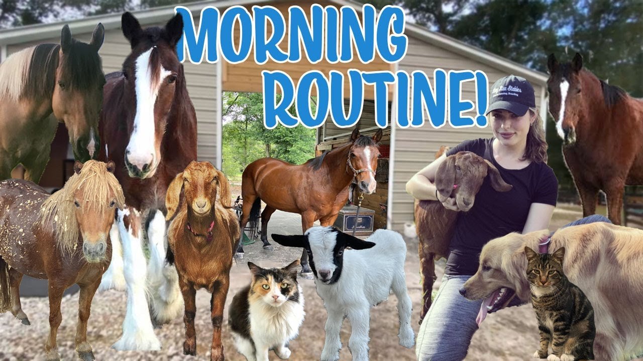 Winter Morning Routine with 30+ Pets! | *SUPER CUTE ANIMALS*