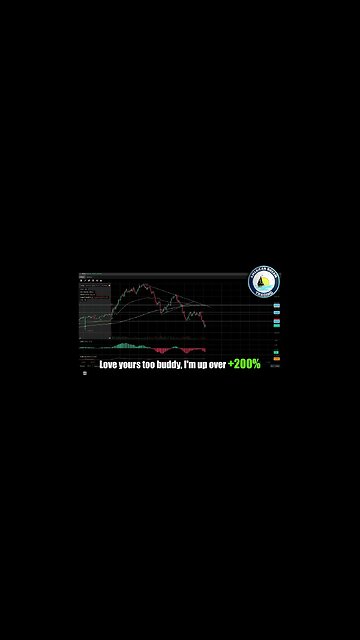 Crushing The Market - +490% Profit, VIP Member's Day Trading Journey In The Stock Market
