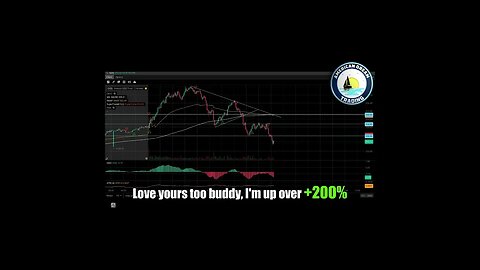 Crushing The Market - +490% Profit, VIP Member's Day Trading Journey In The Stock Market