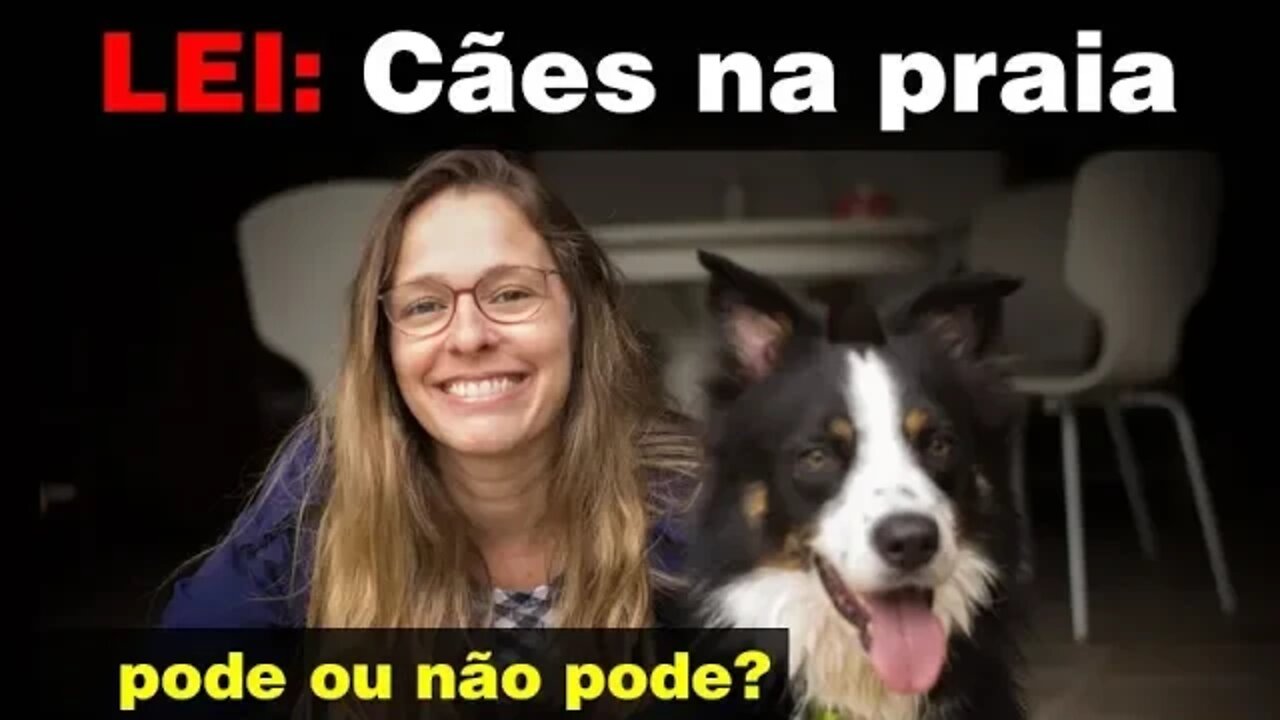 Cachorro na praia pode? Nova lei no RJ - Larva Migrans Vídeo n.34