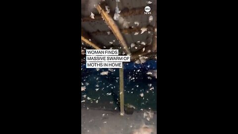 IMMEDIATELY PANICKED': A woman in Oklahoma discovered a massive