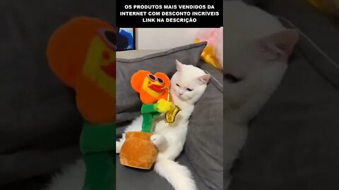 novo brinquedo