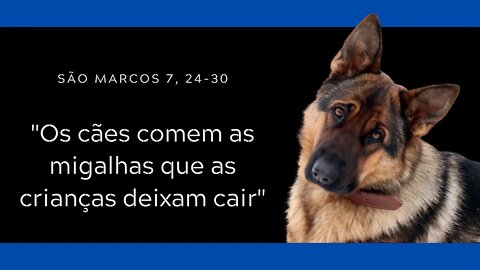 Mc 7, 24-30 | "Os cães comem as migalhas que as crianças deixam cair"