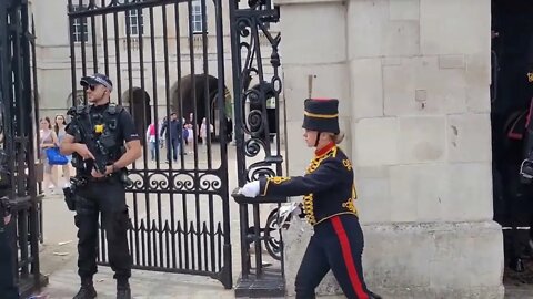 she said make way #horseguardsparade