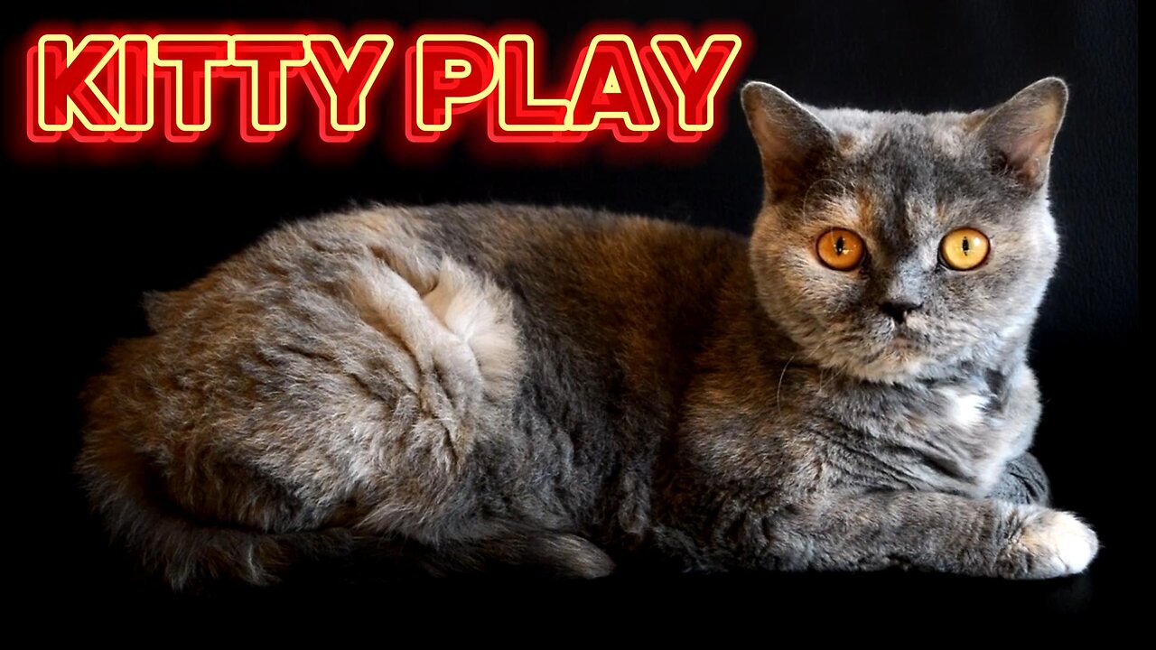 KITTY PLAY