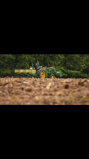 Corn PLOTS Can Be HIGHLY Beneficial! (Spring Foodplots)