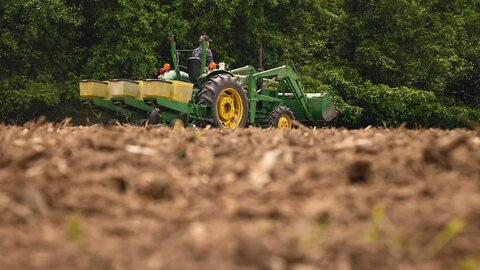 Corn PLOTS Can Be HIGHLY Beneficial! (Spring Foodplots)