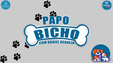 PAPO BICHO - 29/12/2021