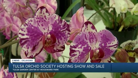 Tulsa Orchid Society Hosting Show and Sale