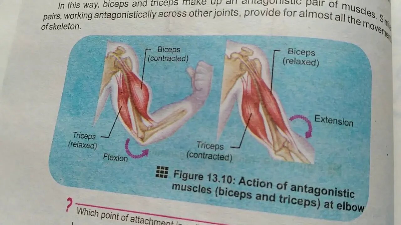 Biology 10th Lecture 6