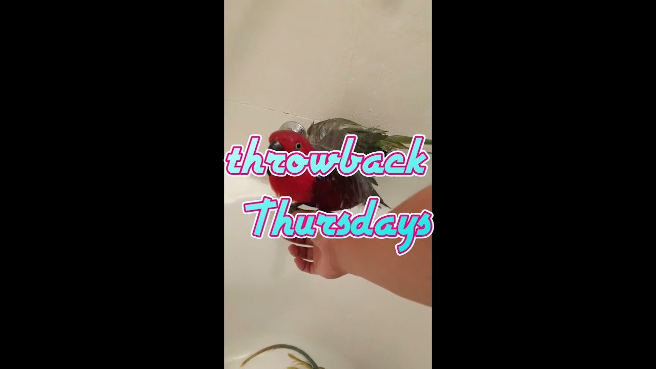 Throwback Thursday meets trending Tiktok