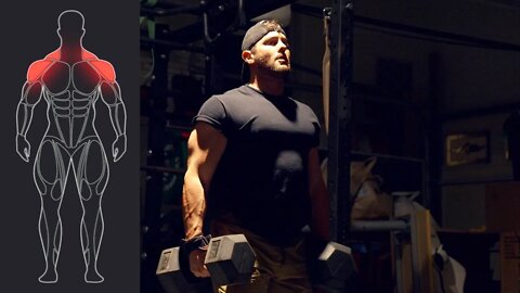 Dumbbell Shoulder Swings