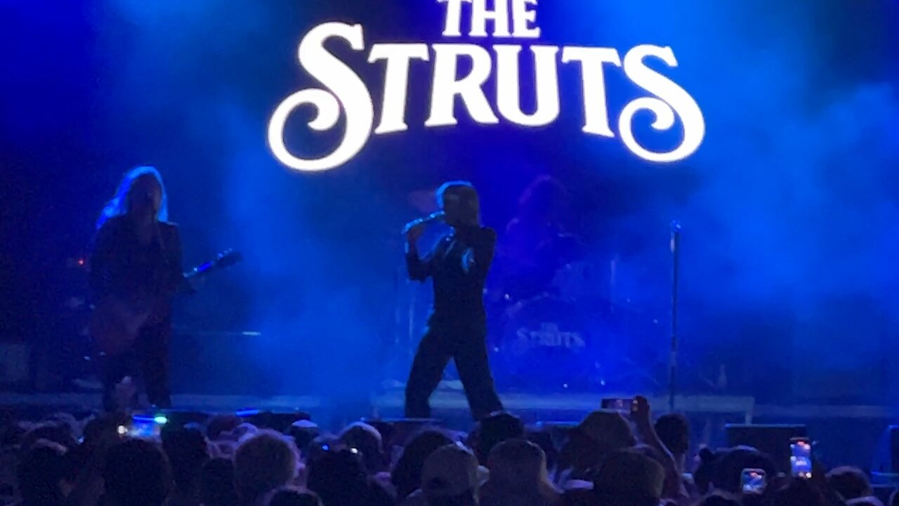 The Struts