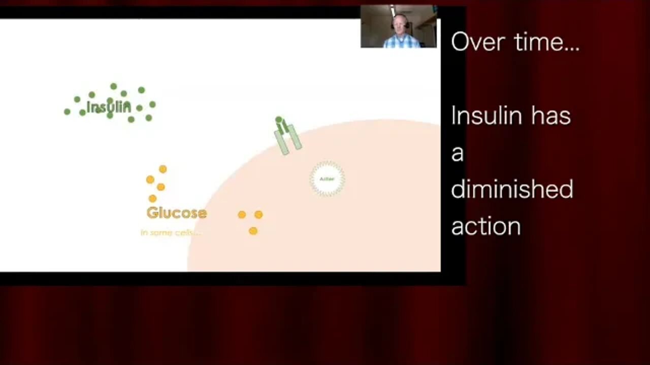 Dr. Ben Bikman: Insulin at the Center. Part One: Defining Insulin Resistance