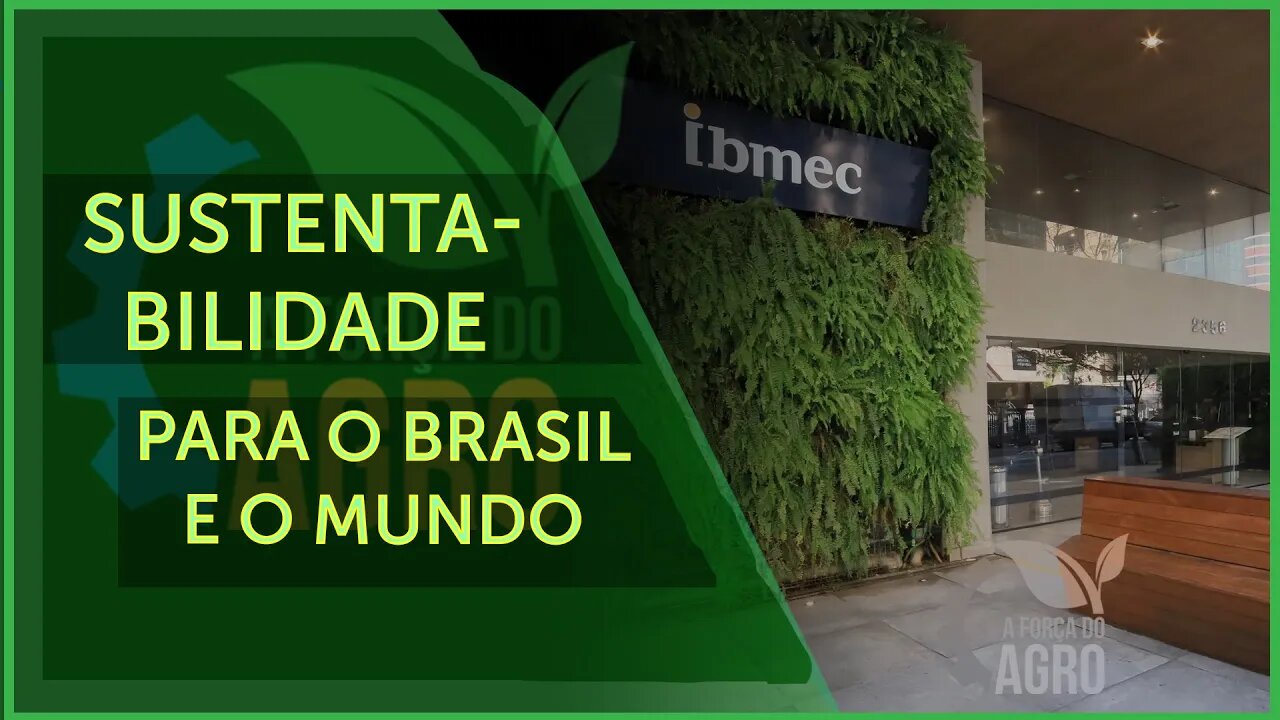 Liga de universidade do Ibmec combate fake e fortalece o agro