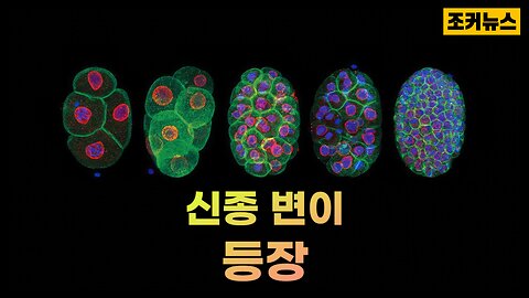 그리고.. WHO의 소름돋는 새 계획과 FDA의 새로운 백신 개발 Developing new vaccines