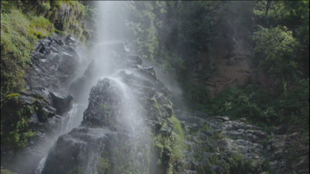 Waterfall with little stones in a temperate forest.