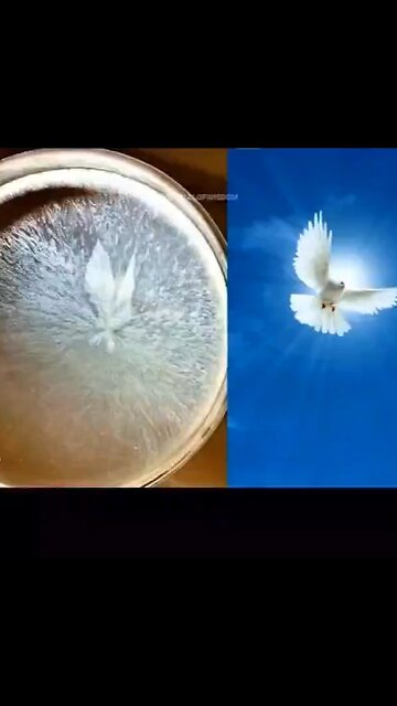 Water can kill you it has memory just watch this video