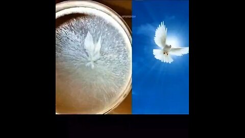 Water can kill you it has memory just watch this video