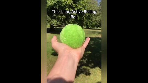 Animal Ball play