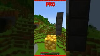 NOOB VS PRO VS HACKER NO MINECRAFT 😱😱😱😱😱#shorts #viral #minecraft #minecraftmemes