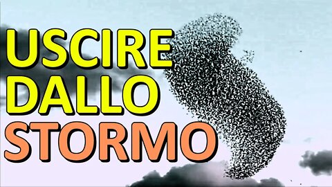 Uscire dallo stormo