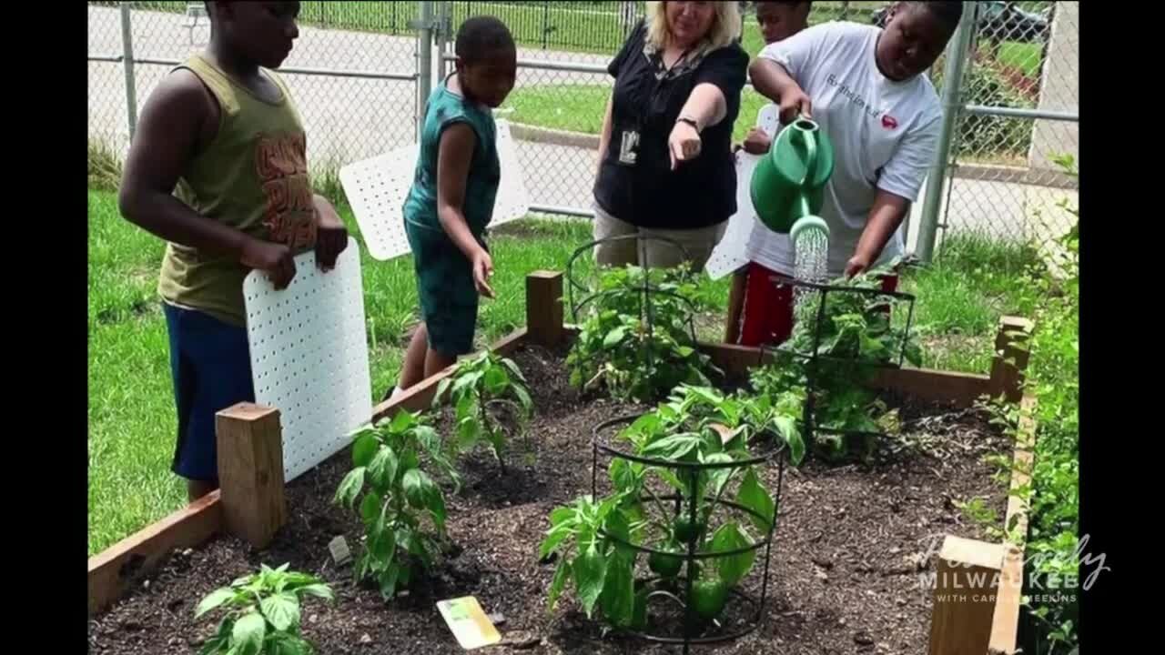 Students learn about more than math and reading at Urban Greenhouse