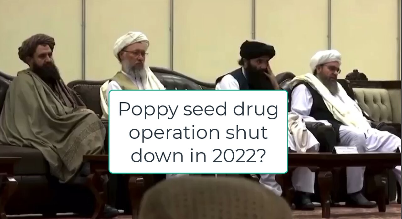 Poppy Seed drug operation shut down?