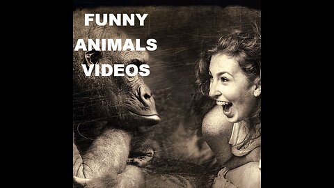 funny cat video| funnyanimals| Funny Monkey 🙉🙉🙉🐒| Rabbits Funny Movie