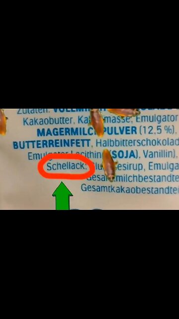 Kinder using insects in its ingredients