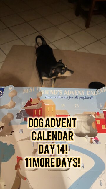 Himalayan Dog Chew 24 Joyful Days Dog Advent Calendar Day 14 #christmas #dogtreats #adventcalendar