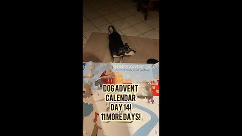 Himalayan Dog Chew 24 Joyful Days Dog Advent Calendar Day 14 #christmas #dogtreats #adventcalendar