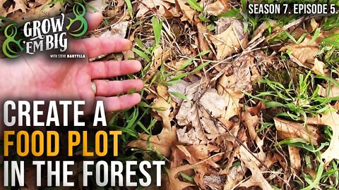 How to Create the Best Food Plot for Deer | Part 3