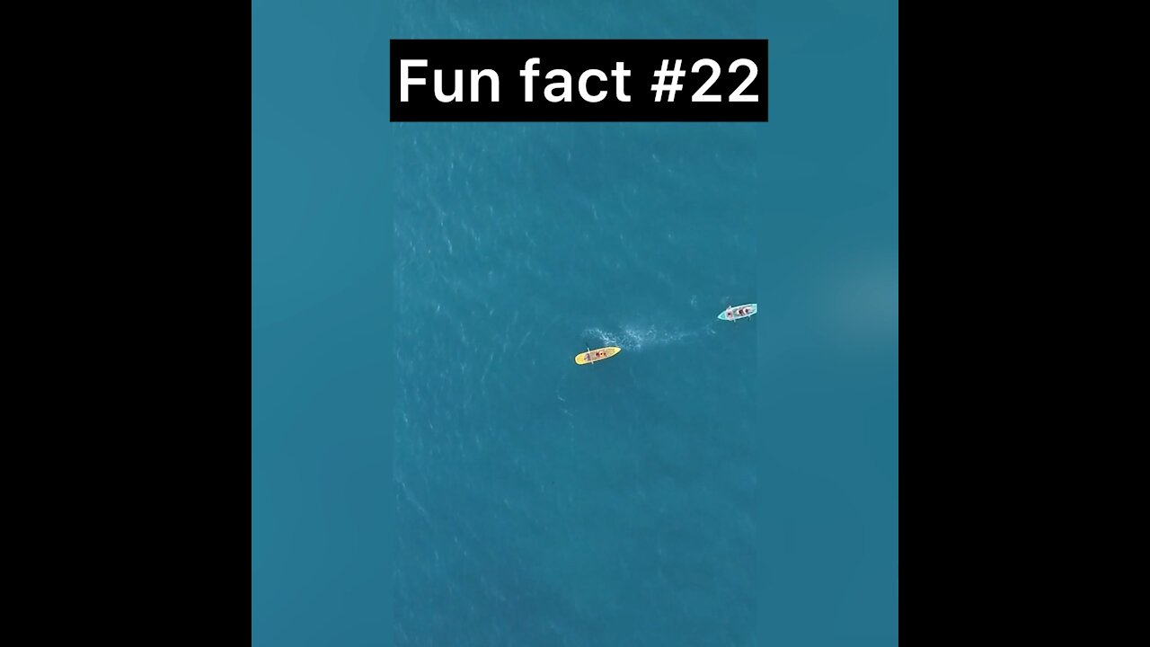 Did you know this about The White House
