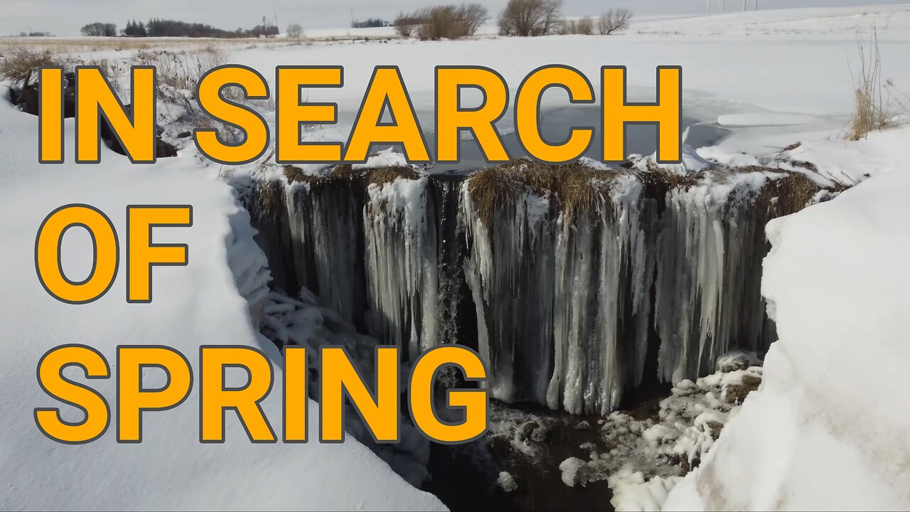 In Search of Spring | Update On the Farm