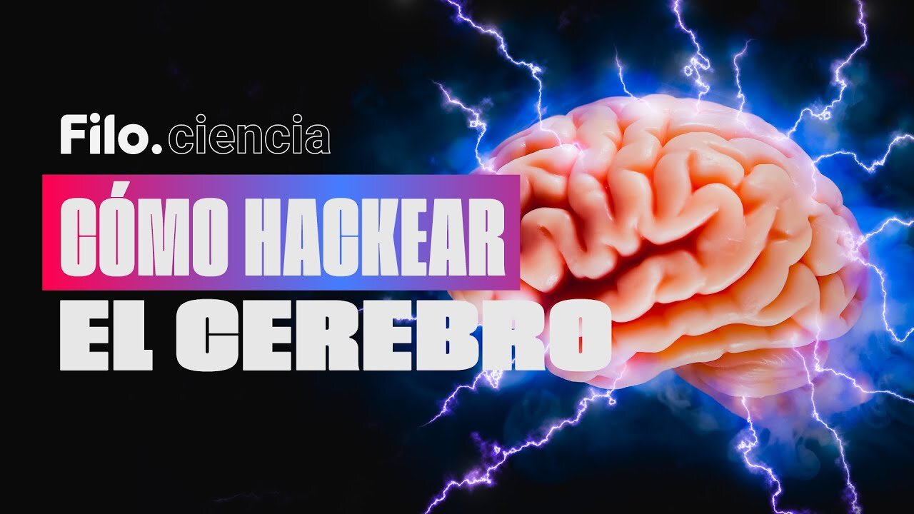 Cómo Hackear Al Cerebro- Así Puedes Manipular La Mente