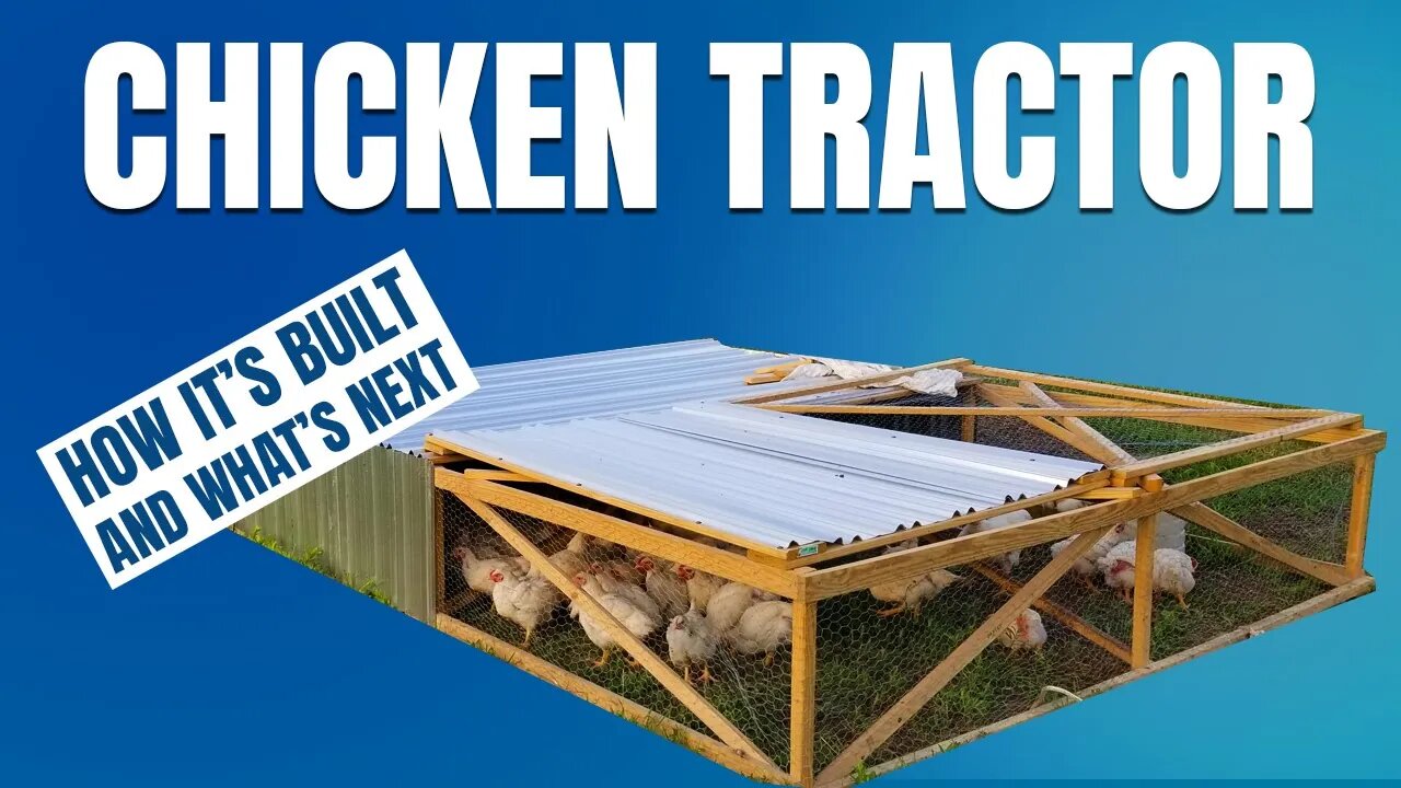 Chicken Tractor Design: Joel Salatin Style