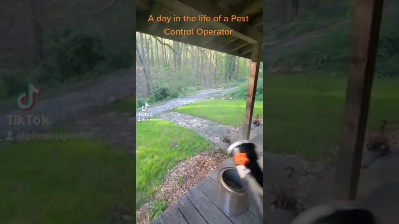 A day in the life of a Pest Control Operator 4 #whatbugsme | Phoenix Pest Control TN